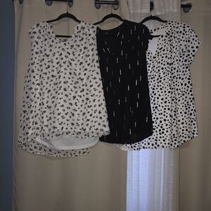 Papermoon Stitchfix 3 Tops BLACK & WHITE BUNDLE Size 2xl